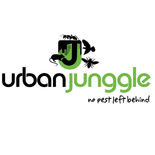 Urban Junggle